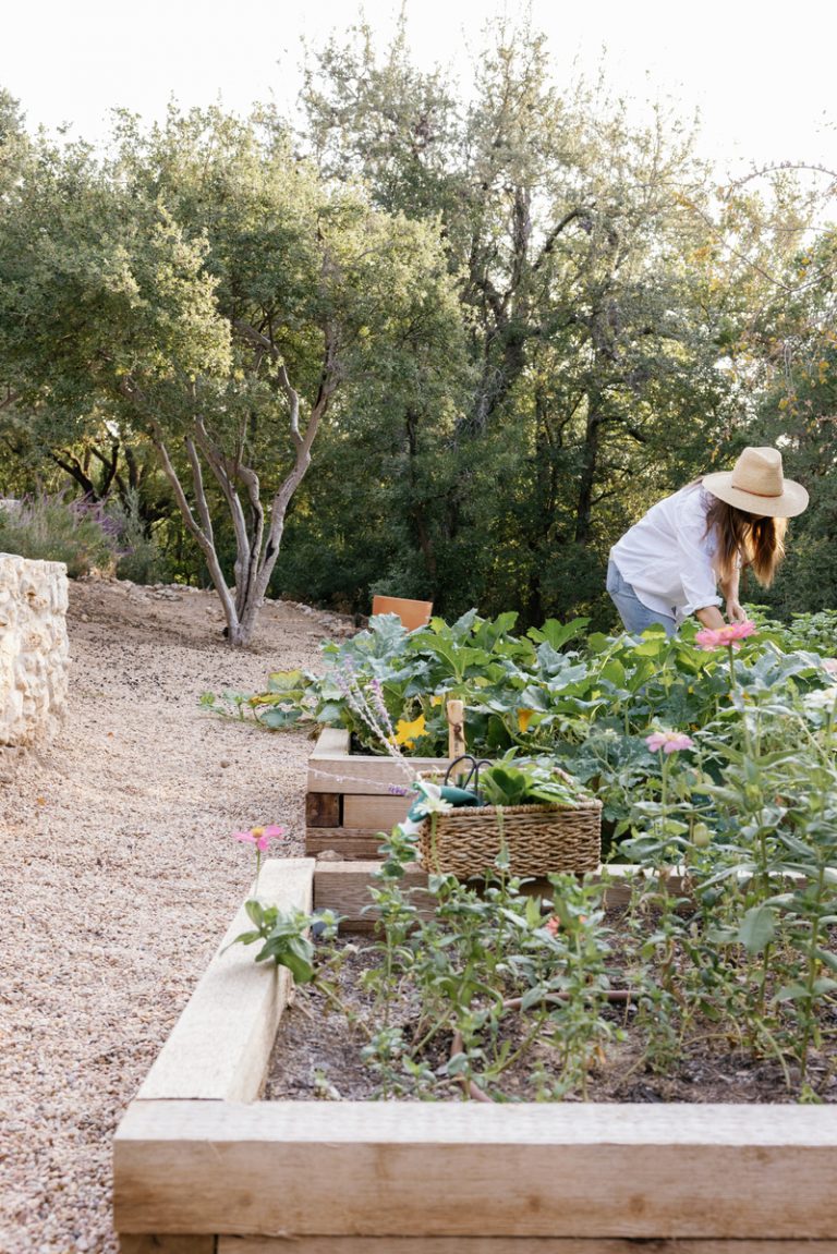 gardening tips for beginners, raised vegetable beds, gardening 101