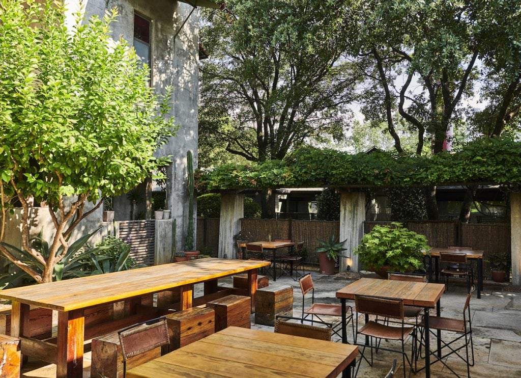 Wood tables and chairs with plants and green trees at Hotel San José courtyard in Austin, Texas.