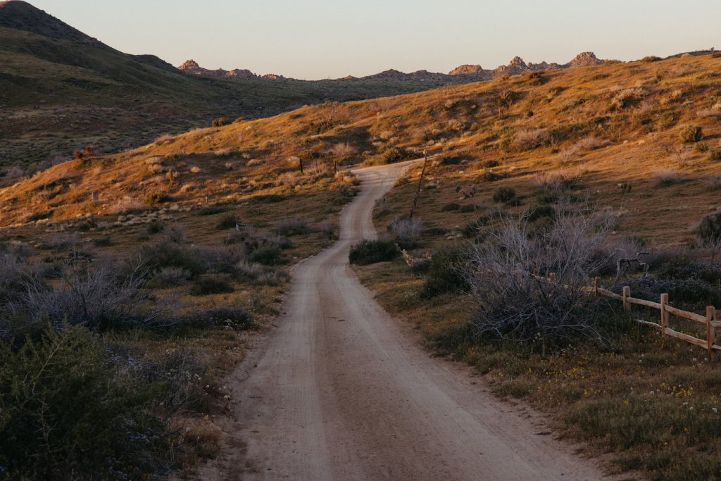 joshua-tree-home-tour-2872