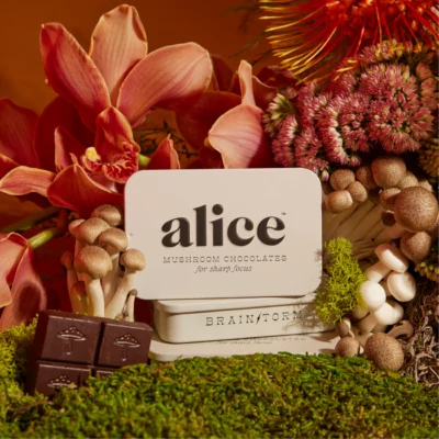 Alice brainstorm mushroom chocolates.