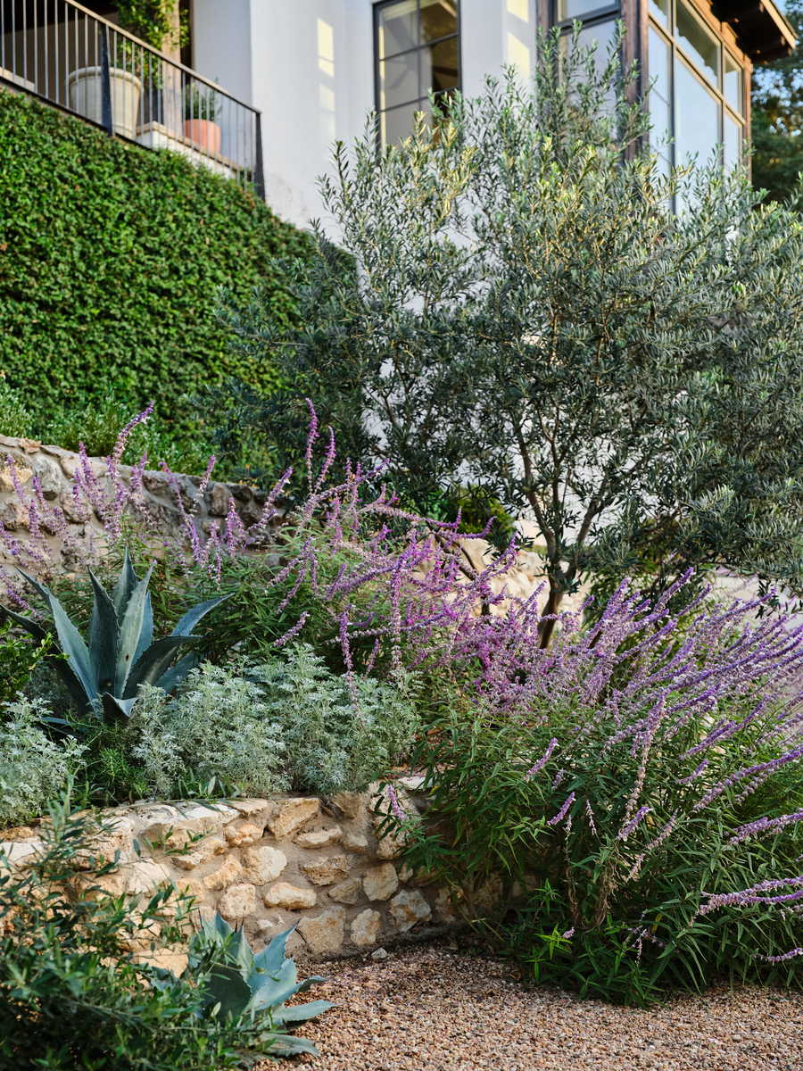 Native Plant Backyard Landscaping Ideas