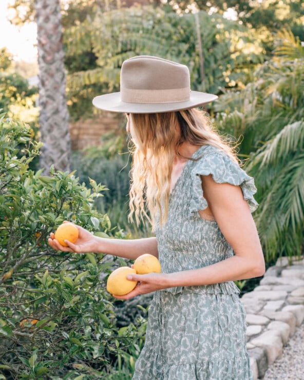 Woman picking lemons