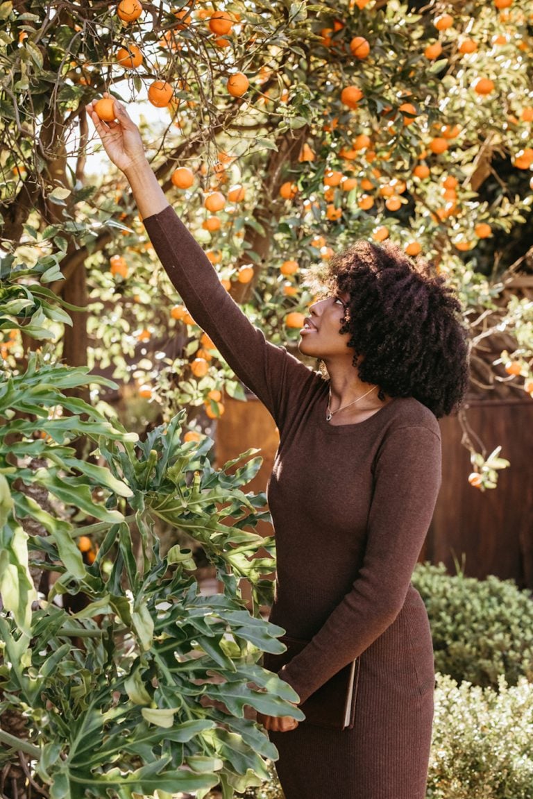 Black woman picking an orange from a tree.