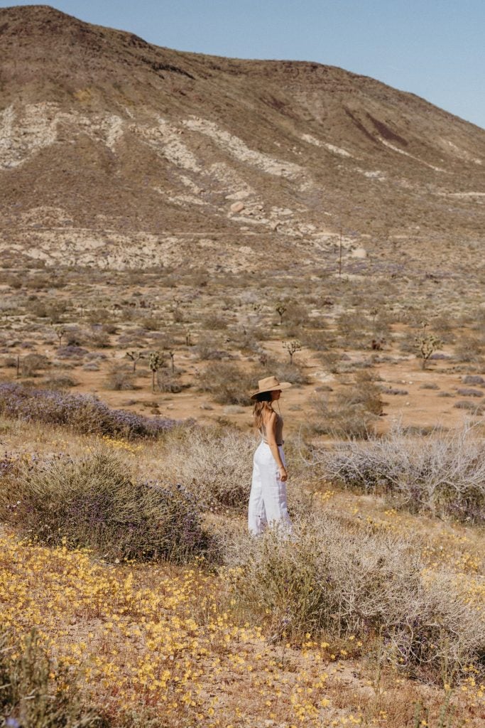 Camille Styles standing in field in Joshua Tree.