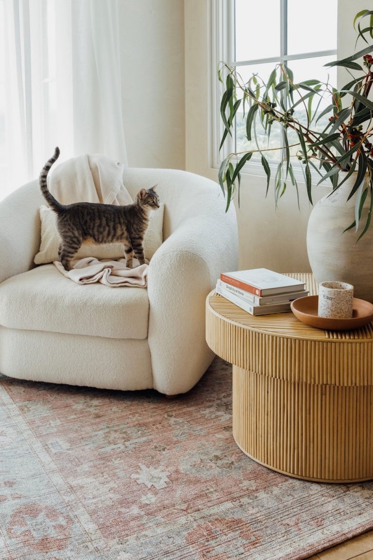 Cat on cozy armchair.