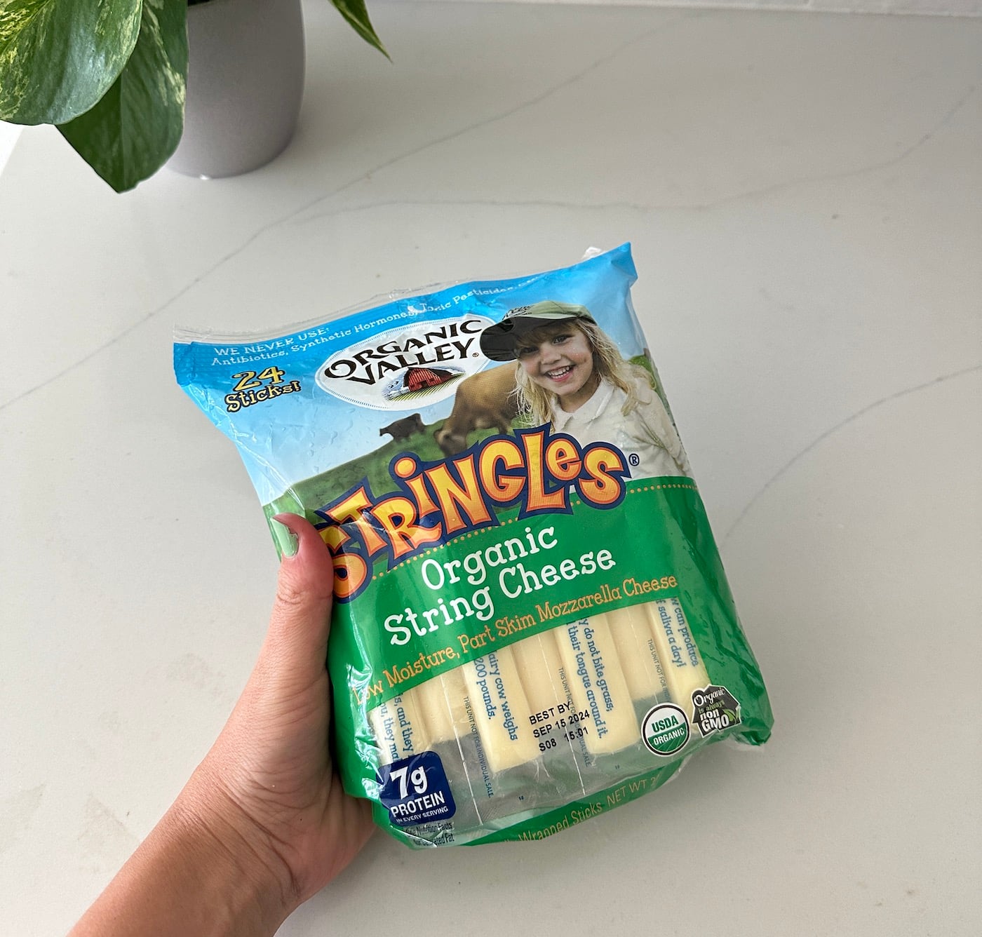 costco cheese stick snacks