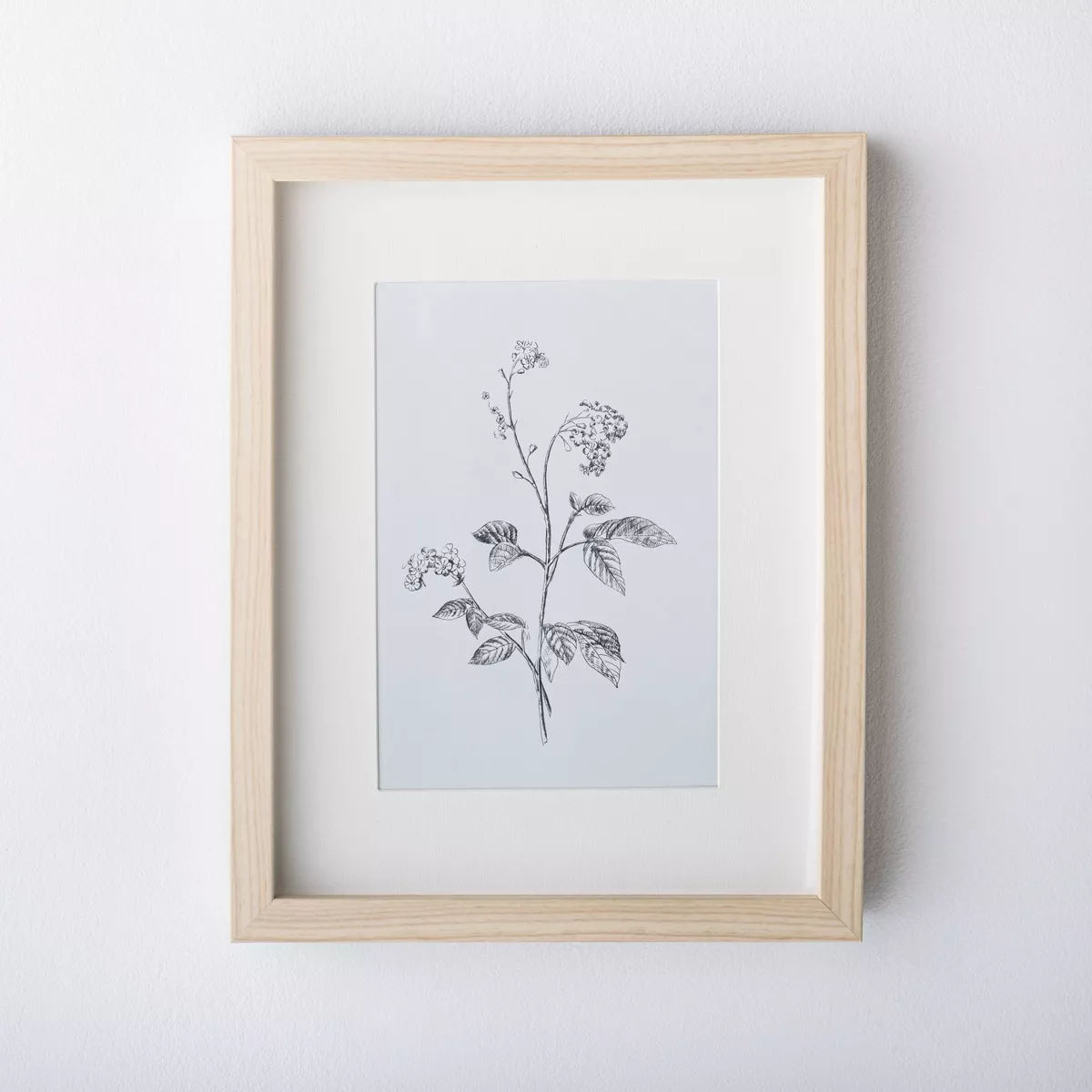 11" x 14" Wild Blossom Art Print - Threshold™ designed with Studio McGee