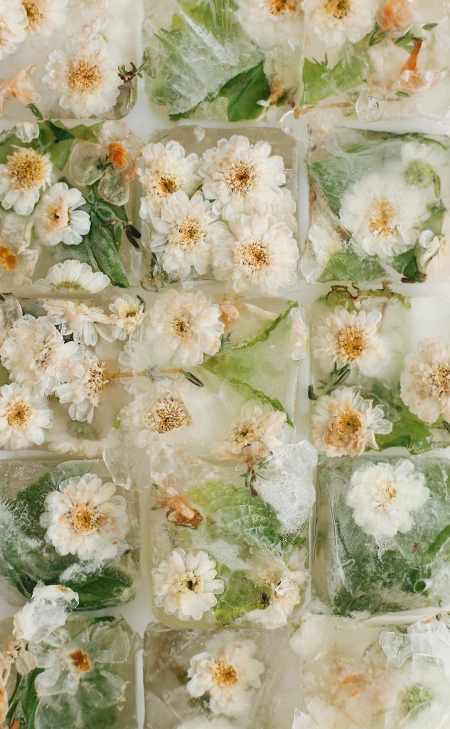 Cubos de gelo de ervas de camomila e jasmim Alimentos para aliviar o estresse.