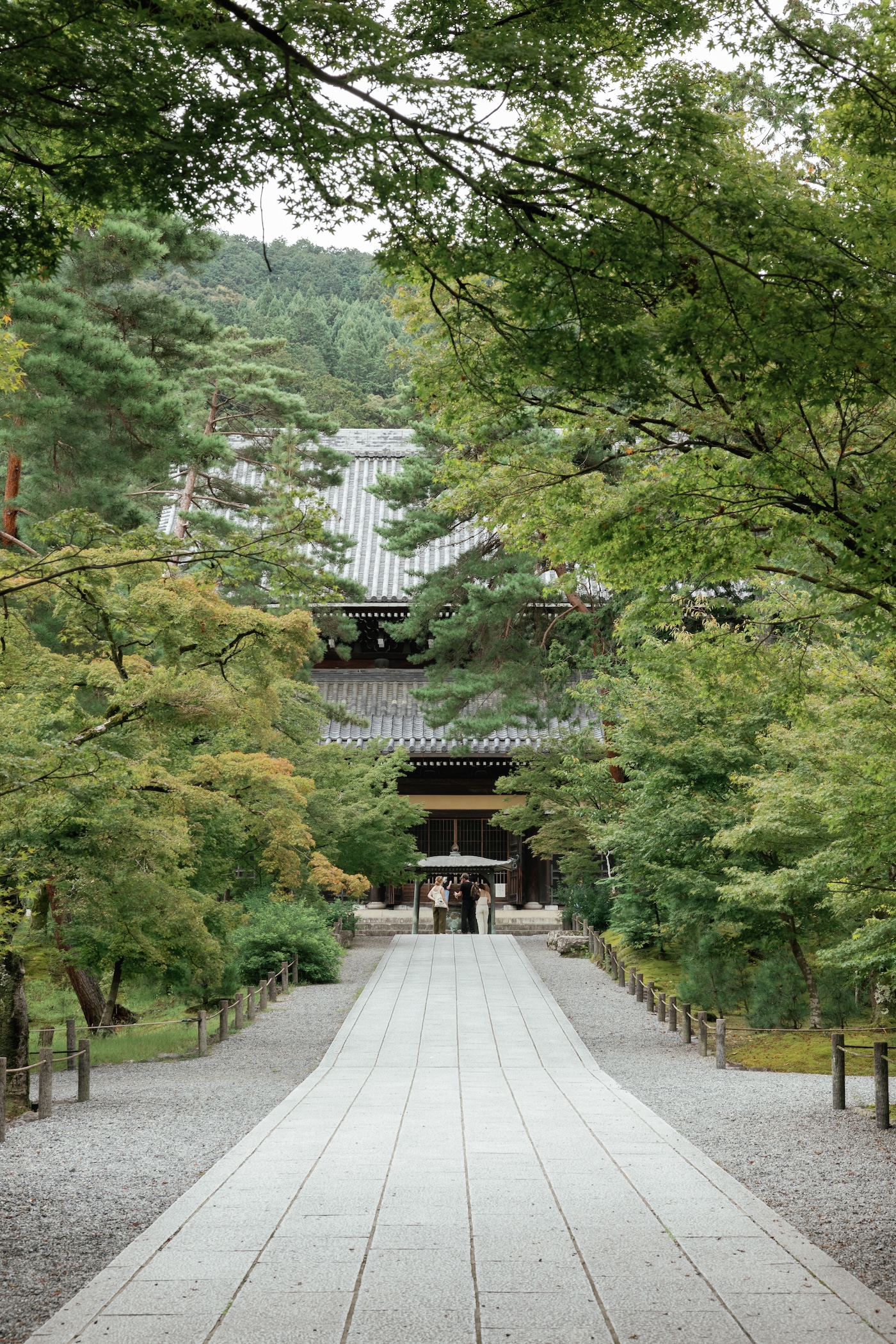 kyoto-travel-guide-6659