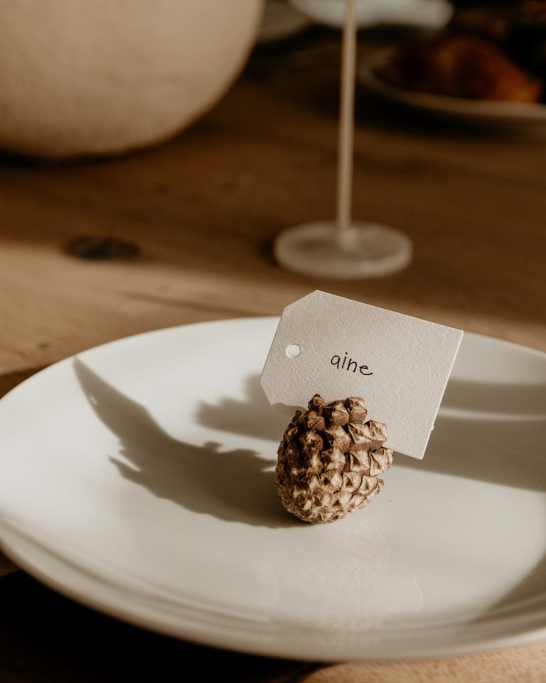 Pinecone place card.