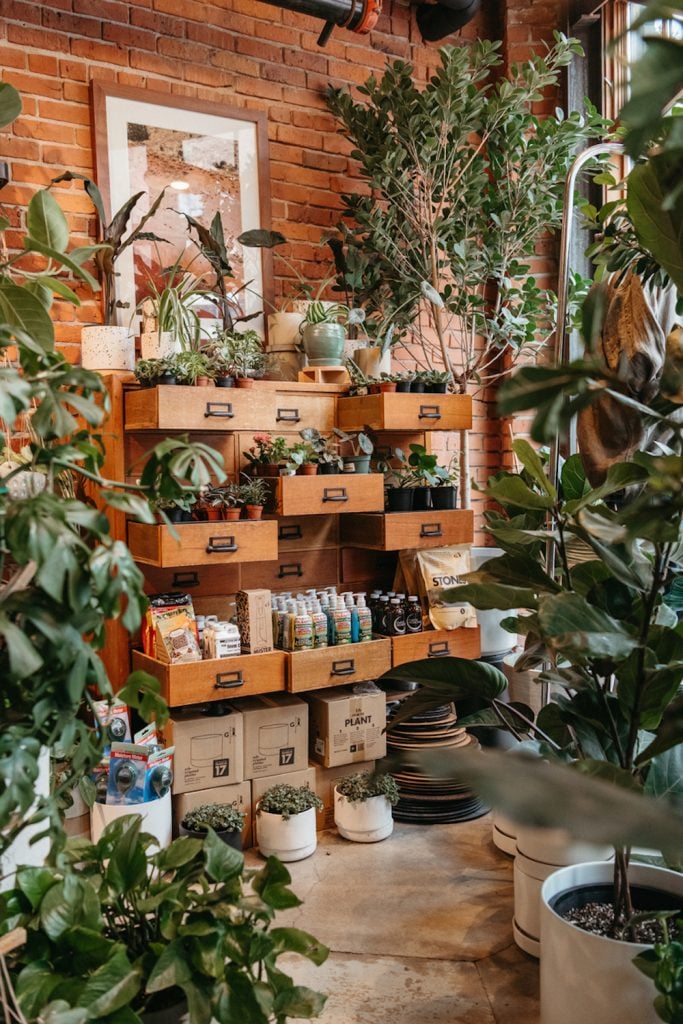Visit a plant store cheap date night ideas.