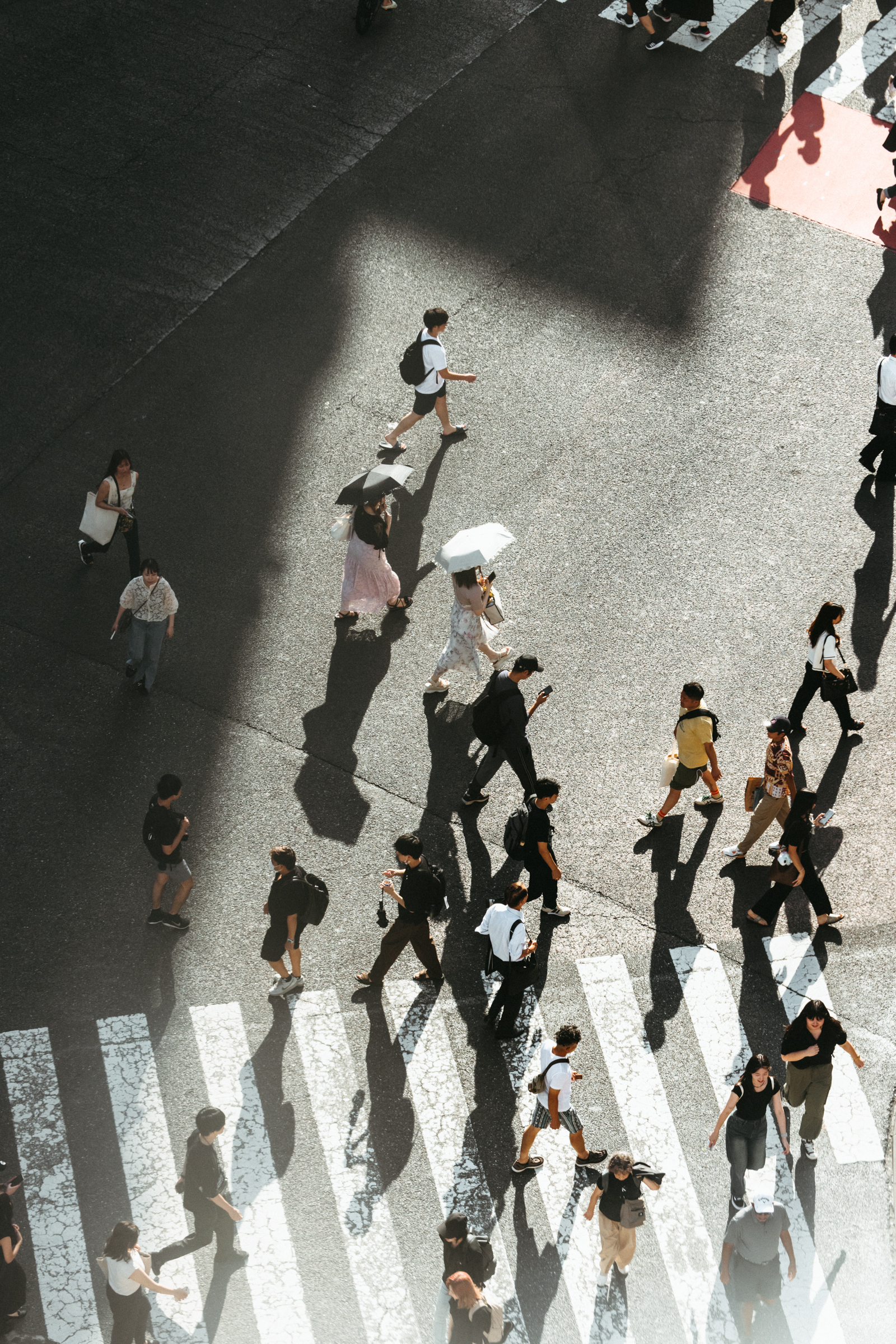 Tokyo City Guide', the Japanese Capital Seen Through the Eyes of