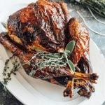 brined roast turkey