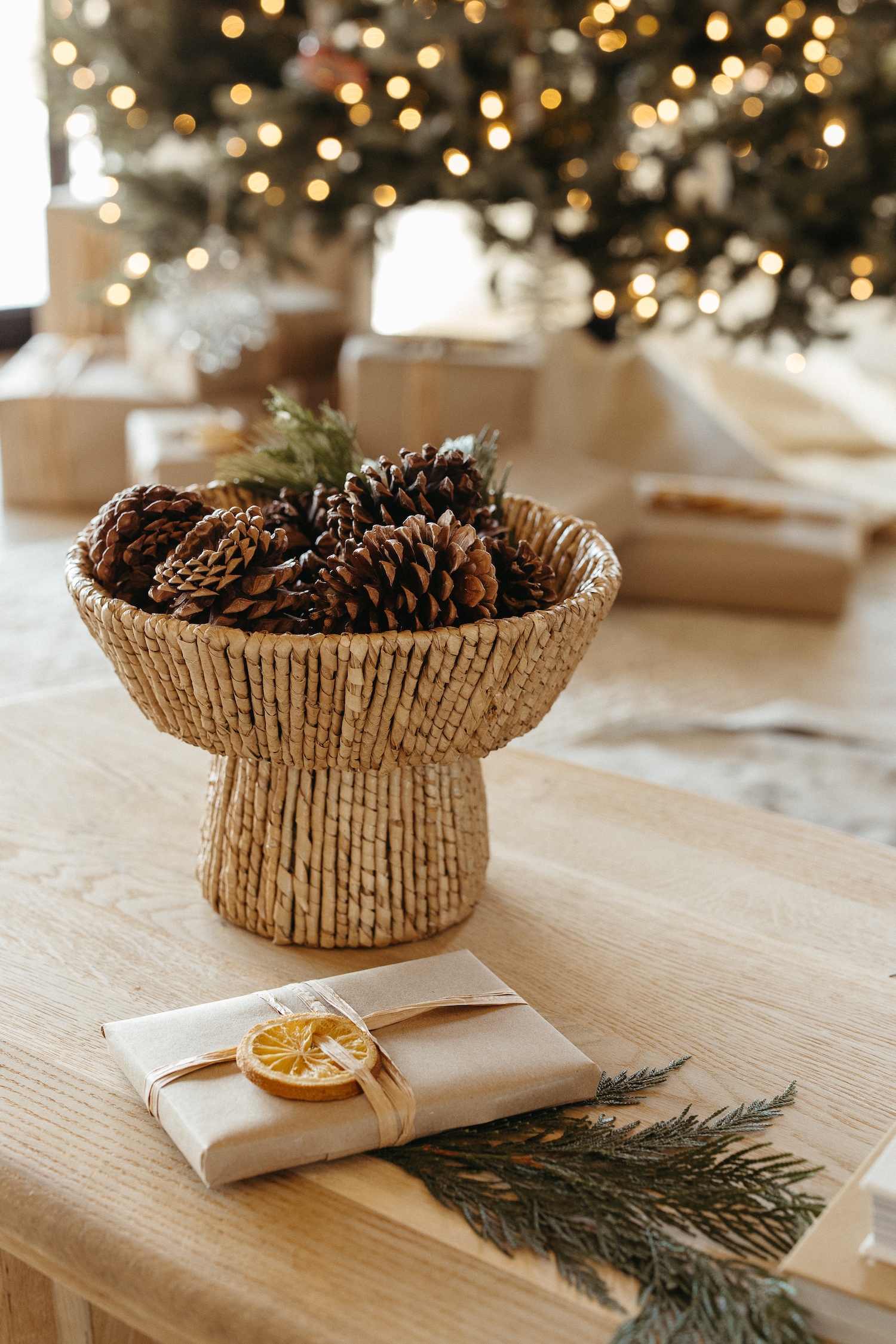 Camille Styles Holiday Decor 2023-pinecones on coffee table
