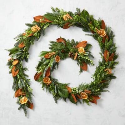 Orange Spice Live Wreath & Garland