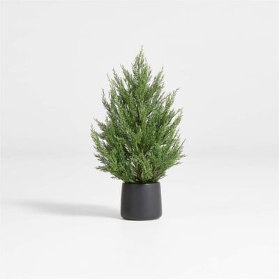 Potted Holiday Cypress Tree 24"