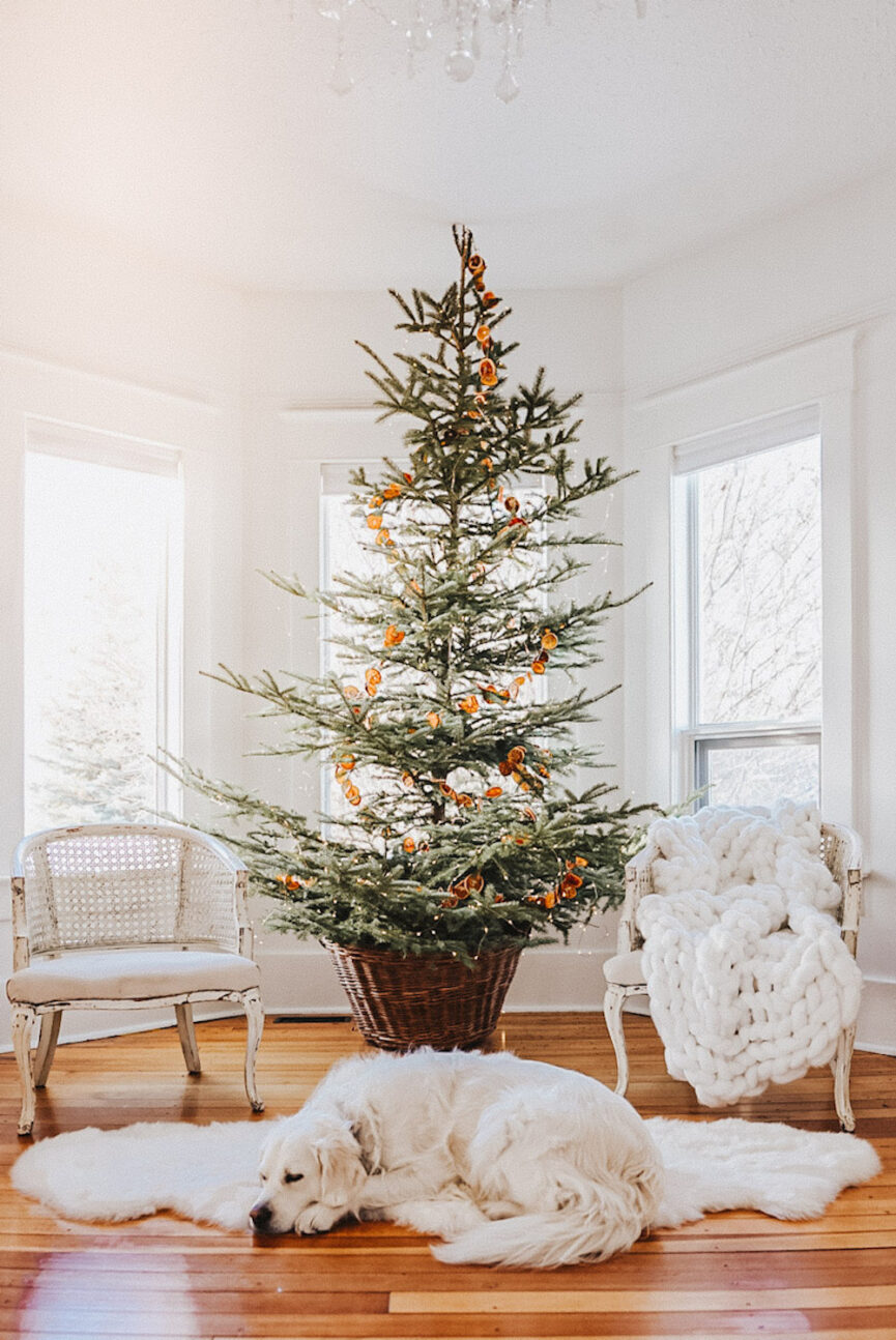 Modern orange garland Christmas tree.