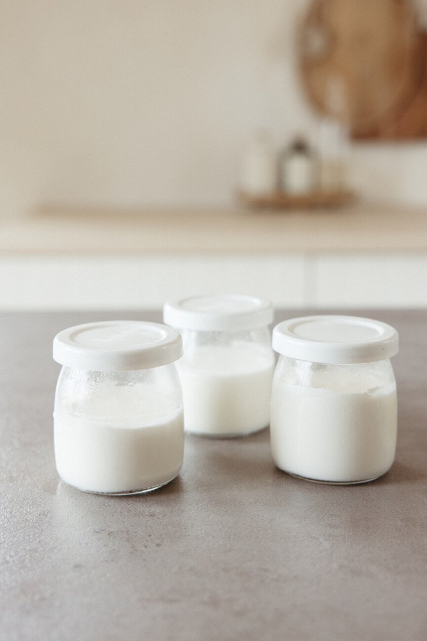L. Reuteri Yogurt recipe for gut health and probiotics
