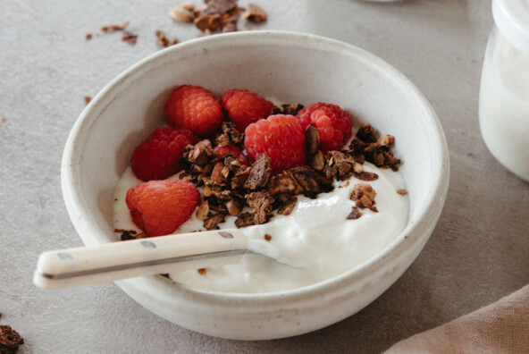 L. Reuteri Yogurt recipe for gut health, with strawberries and granola