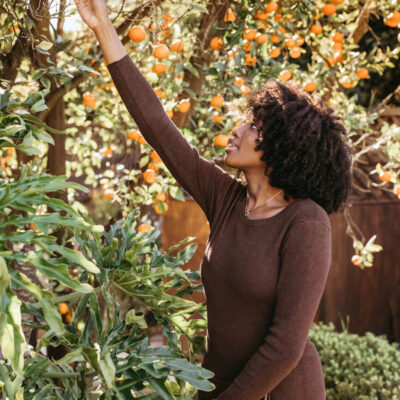 Woman picking oranges.