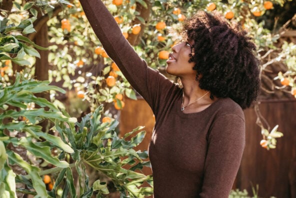 Woman picking oranges.