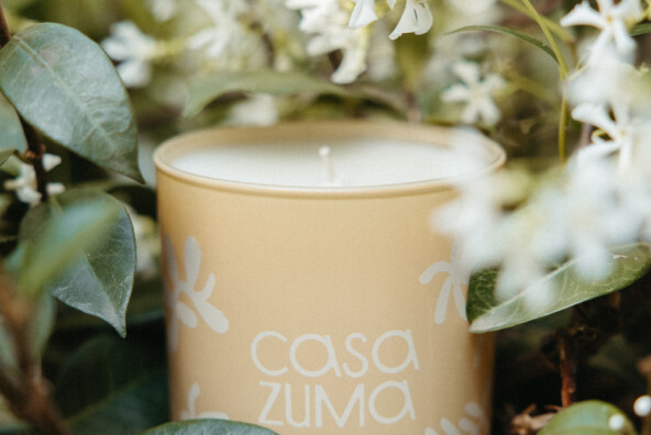 daybreak luxury candle casa zuma - citrus, jasmine, and salty air
