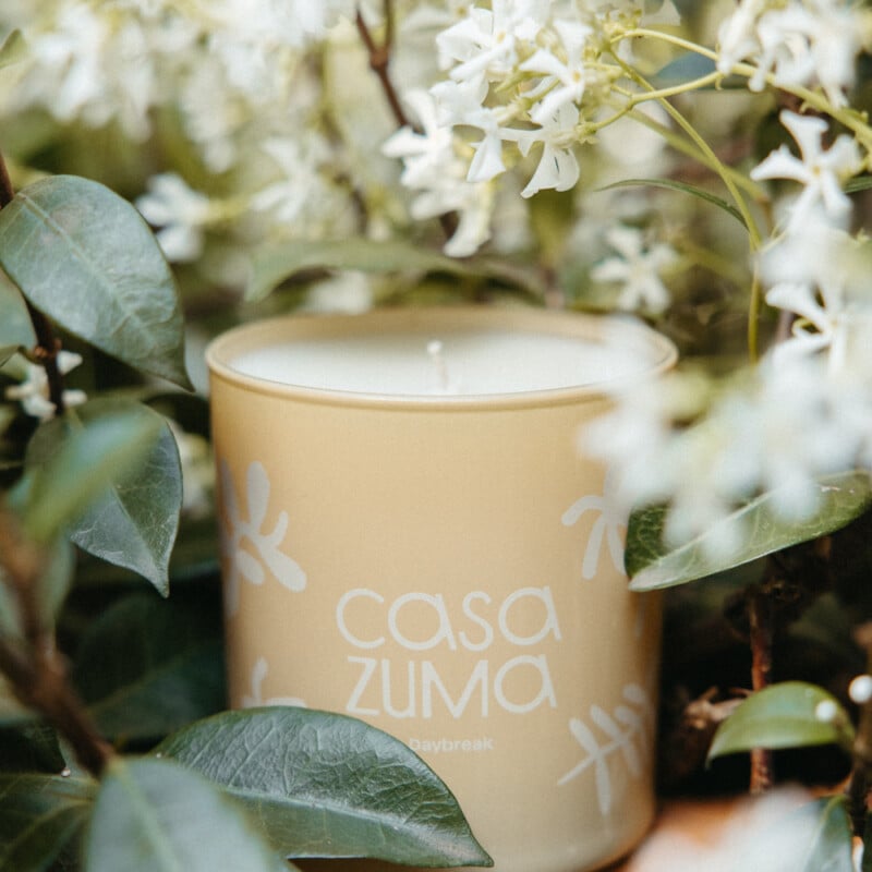 daybreak luxury candle casa zuma - citrus, jasmine, and salty air