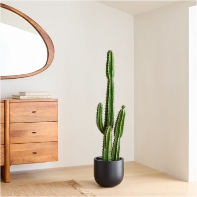 Faux potted cactus plant, West Elm