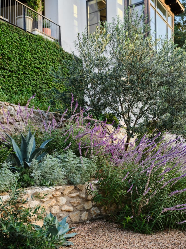 The Best Garden Color Schemes To Boost Your Curb Appeal