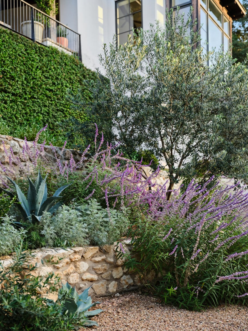Purple garden color scheme.