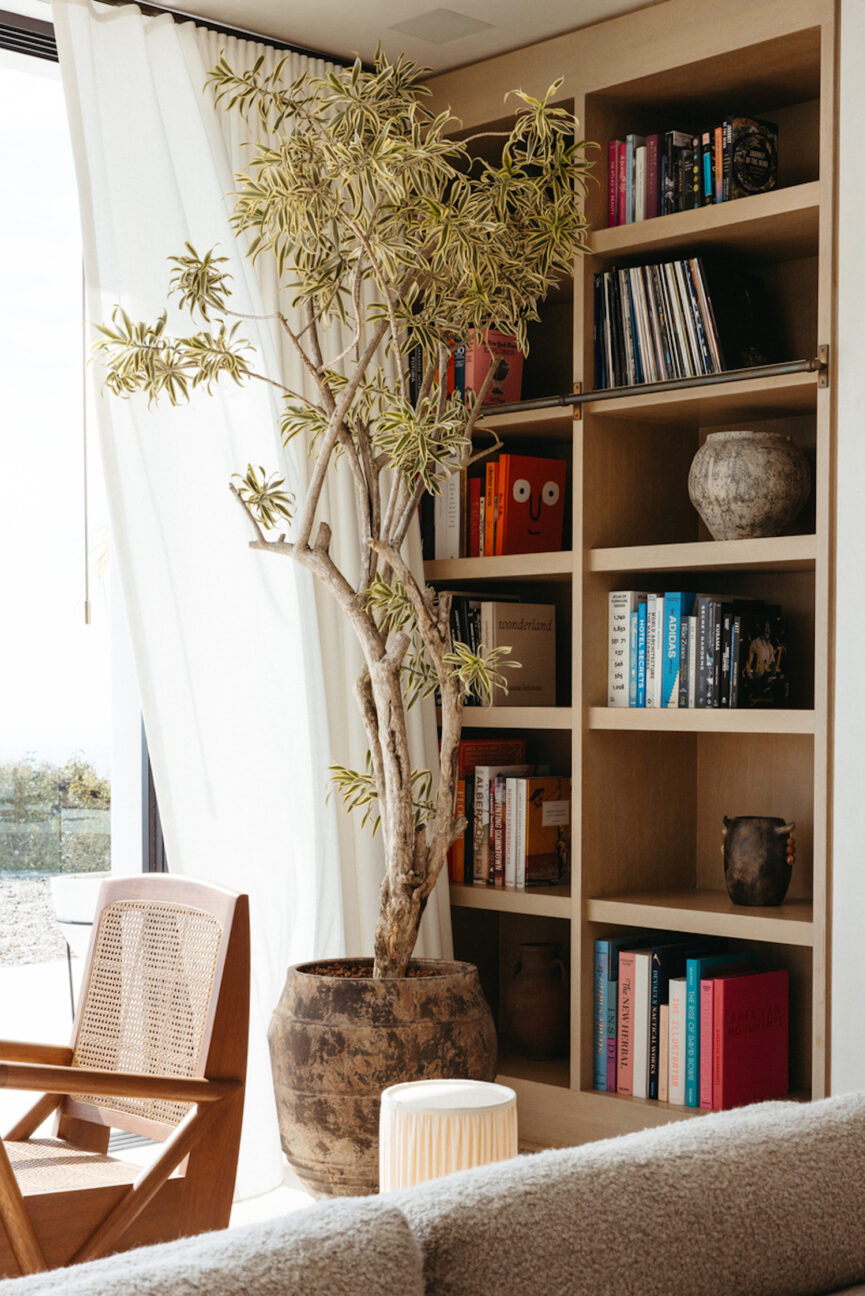 organized bookshelf 