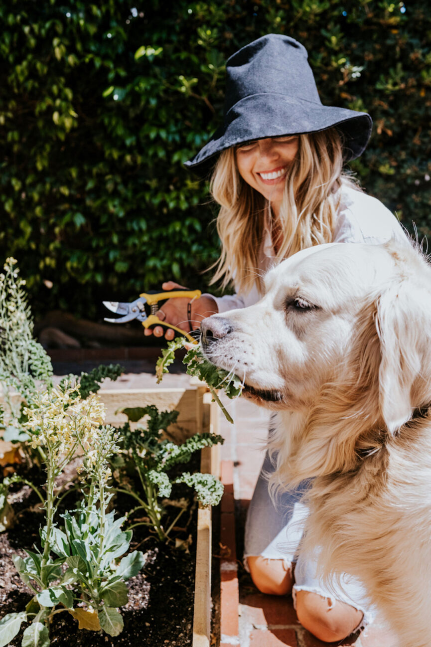 Mulher fazendo jardinagem com cachorro.