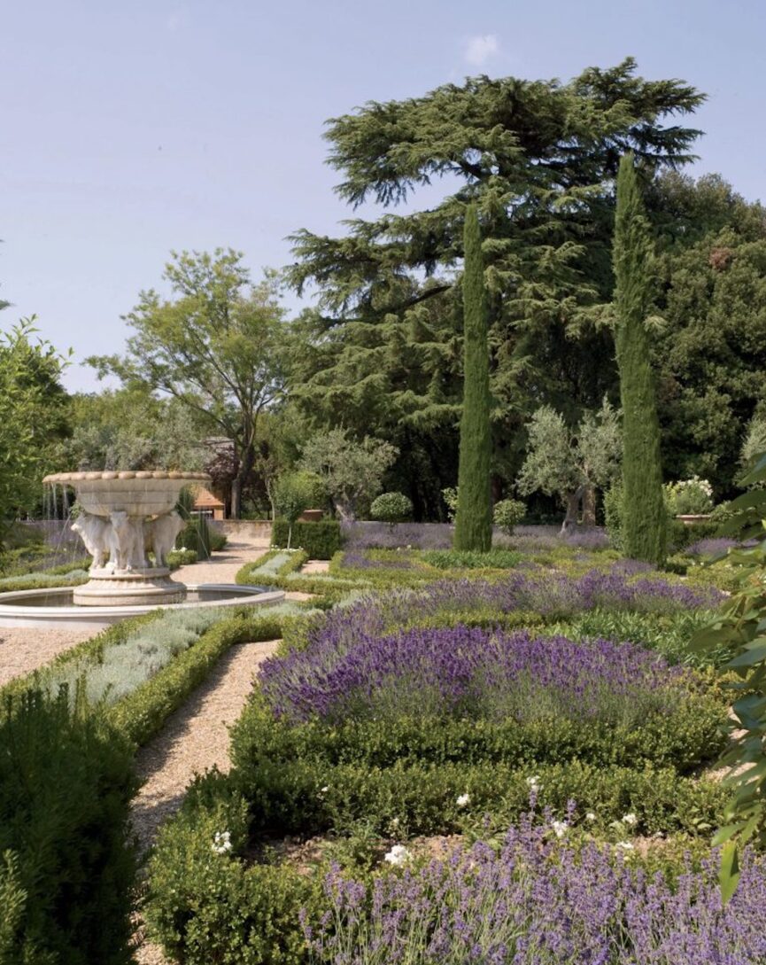 Provence lavender garden