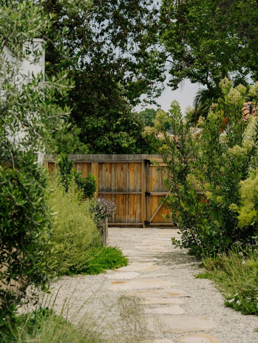 Desert style garden in Los Angeles.