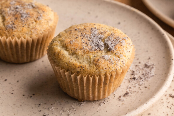 the best lemon poppy seed muffins