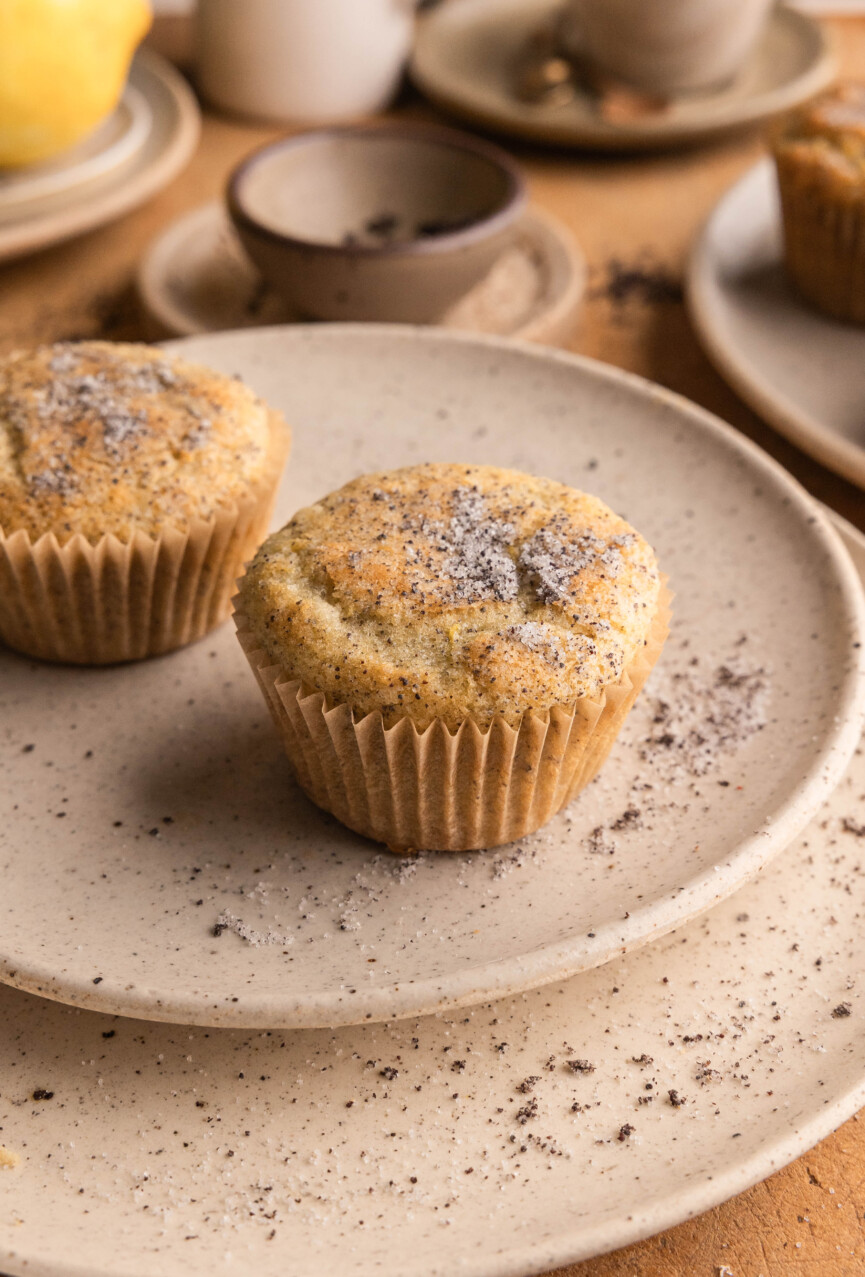 the best lemon poppy seed muffins