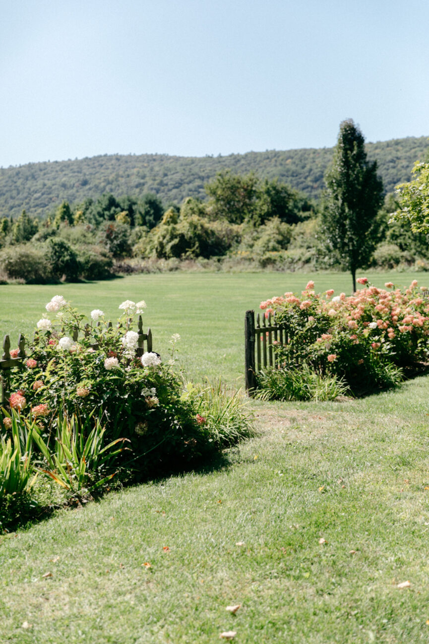 Jardim de hortênsias