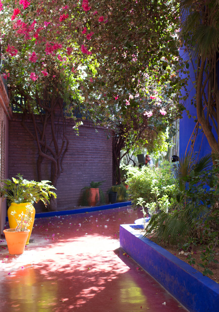 Colorful Moroccan gardens.