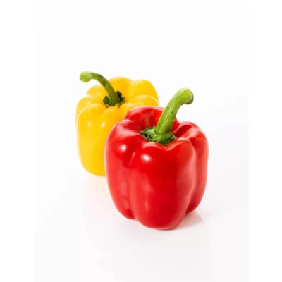 Organic Rainbow Bell Peppers