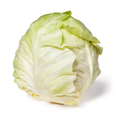 Green cabbage