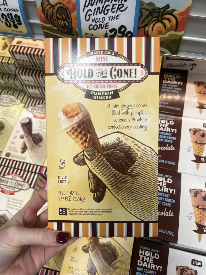 pumpkin ginger mini hold the cone