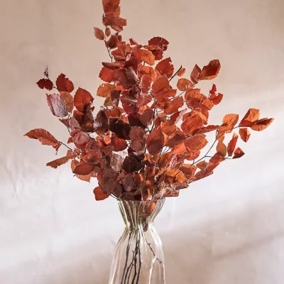 Preserved Beech Leaf Bunch, Terrain