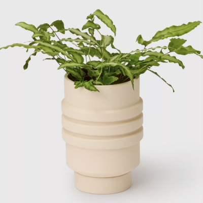 Areaware Strata Ceramic Plant Vessel