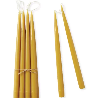 Honey taper candles, Serena and Lily