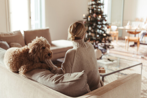 Woman putting dog in front of Christmas tree