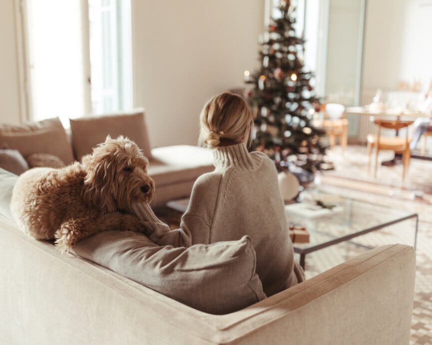 Woman putting dog in front of Christmas tree