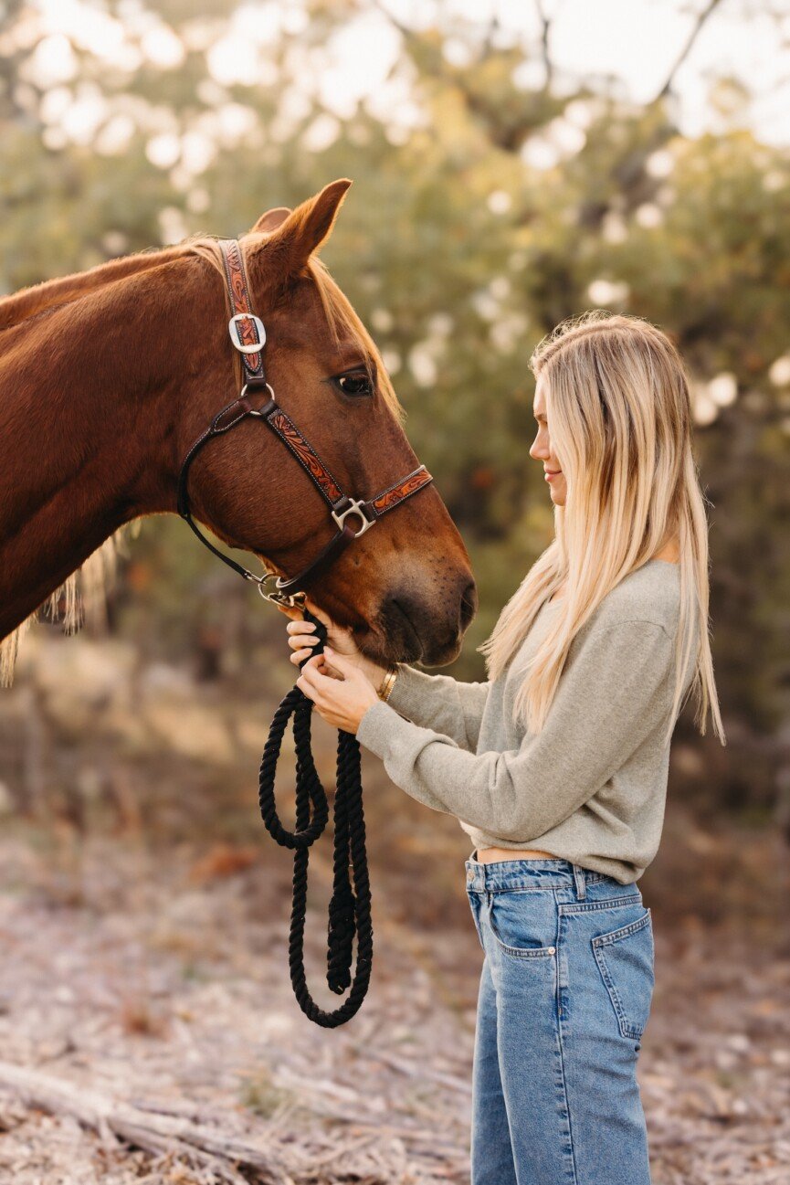 Mari Llewellyn Morning Routine with horse