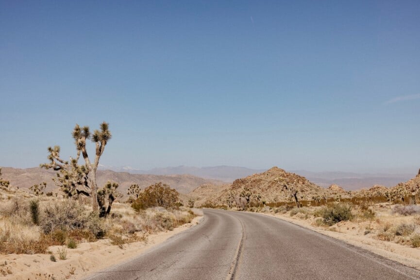 road trip question joshua tree