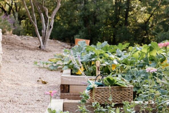 holistic gardening2