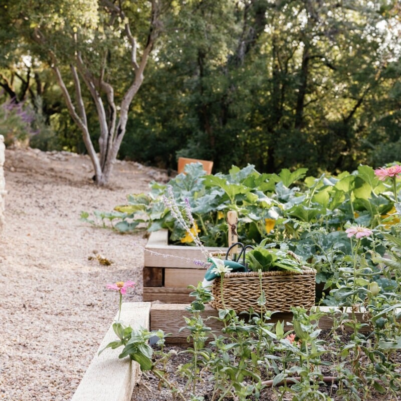 holistic gardening2